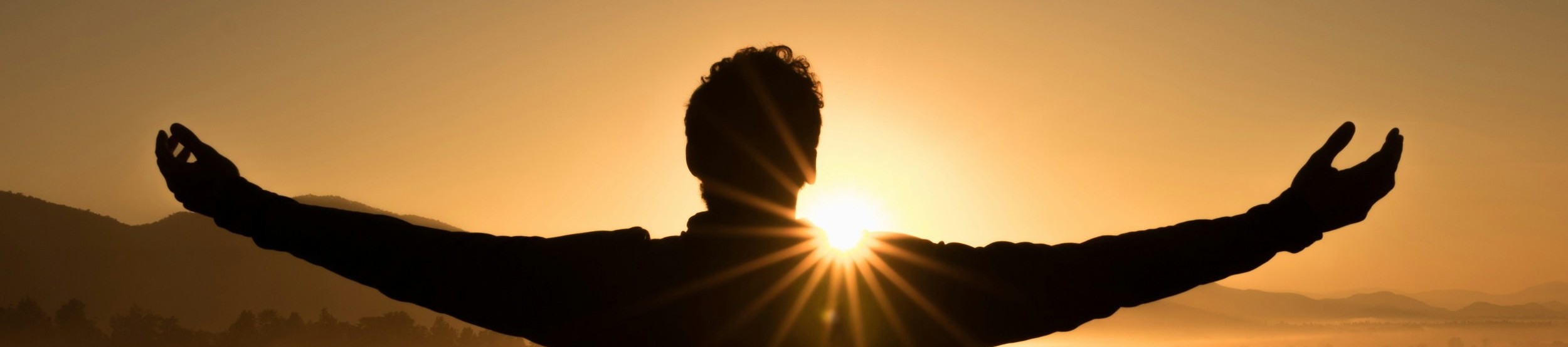 learning from success, man standing in front of sun
